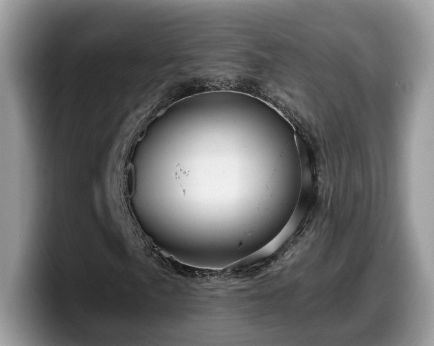 X0000099961057200805301309