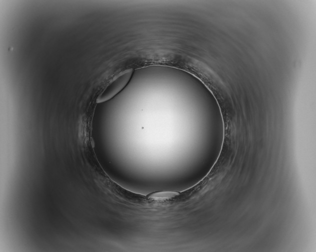 X0000099961058200805301309