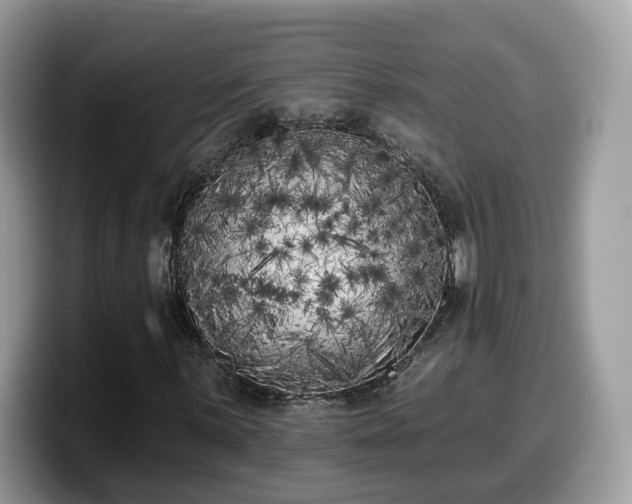 X0000099961059200805301309