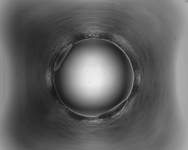X0000099961060200805301309