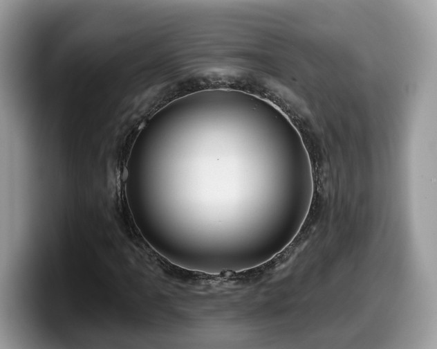 X0000099961061200805301309