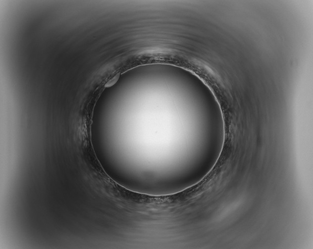 X0000099961062200805301309
