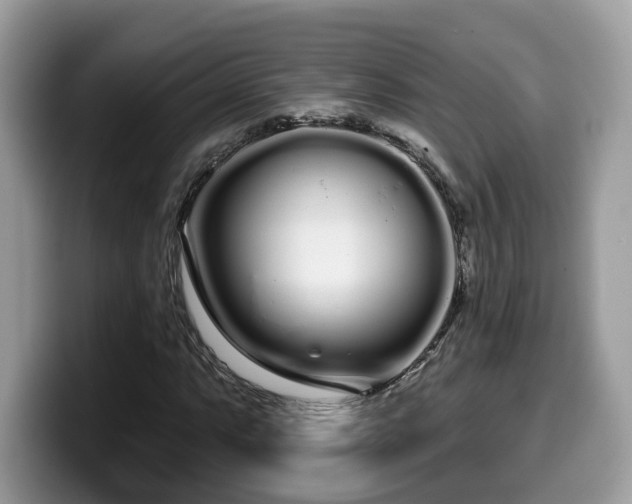 X0000099961063200805301309