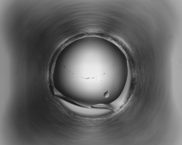 X0000099961065200805301309