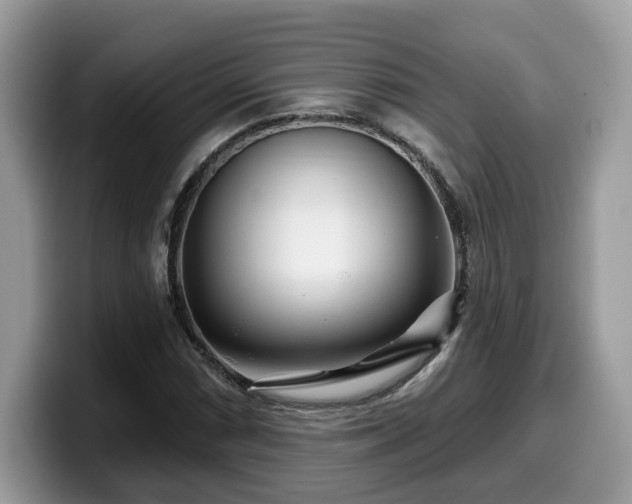 X0000099961066200805301309