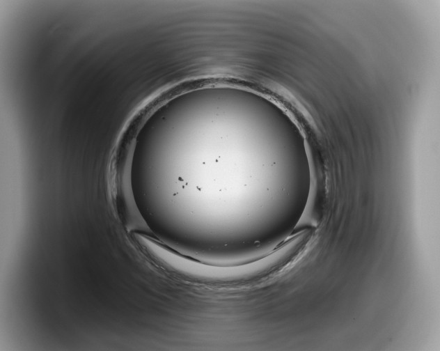 X0000099961069200805301309