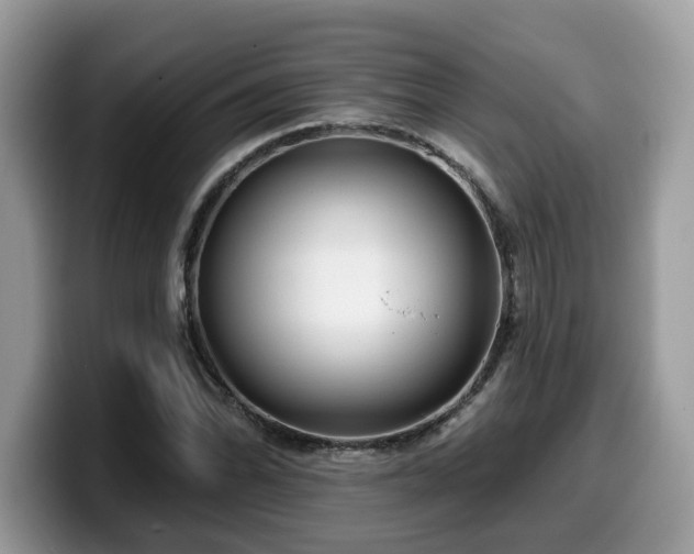 X0000099961070200805301309