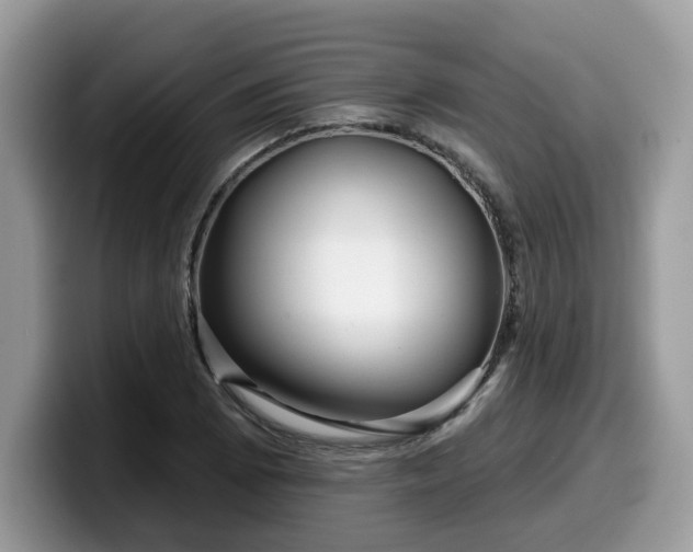 X0000099961073200805301309