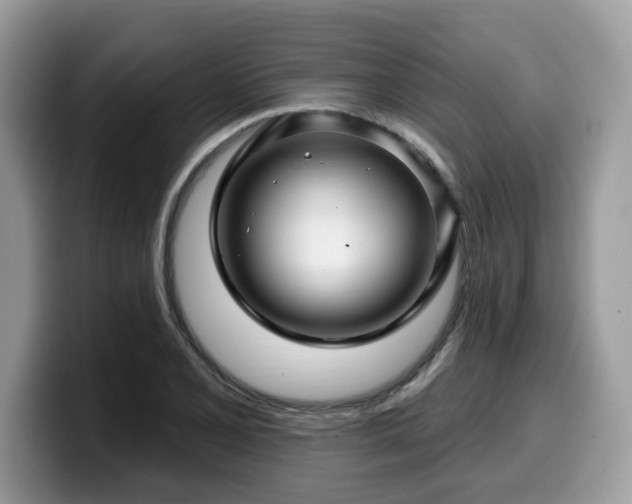 X0000099961077200805301309