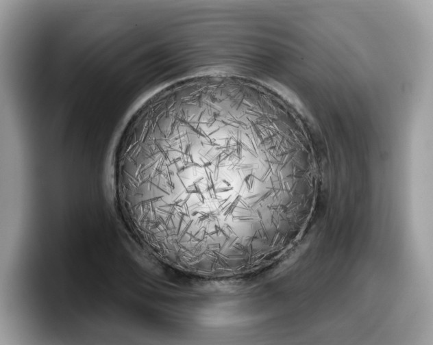 X0000099961078200805301309