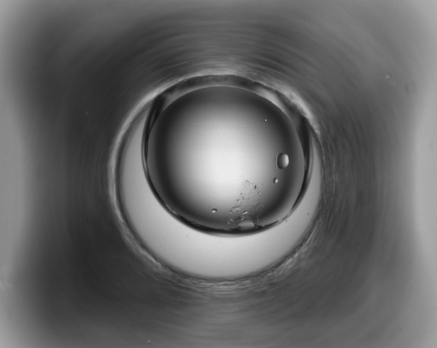 X0000099961080200805301309