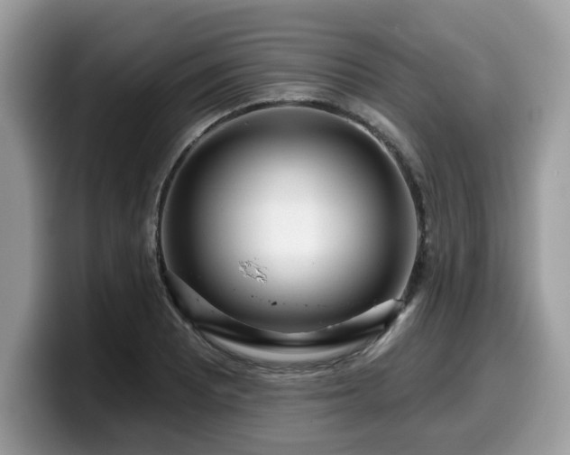 X0000099961081200805301309