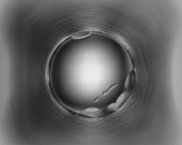 X0000099961084200805301309