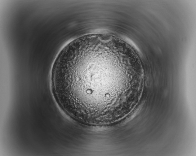X0000099961087200805301309