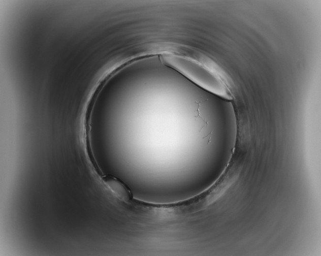X0000099961088200805301309