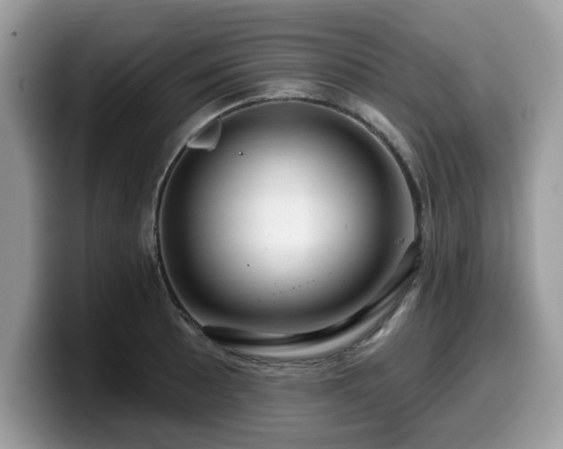 X0000099961089200805301309