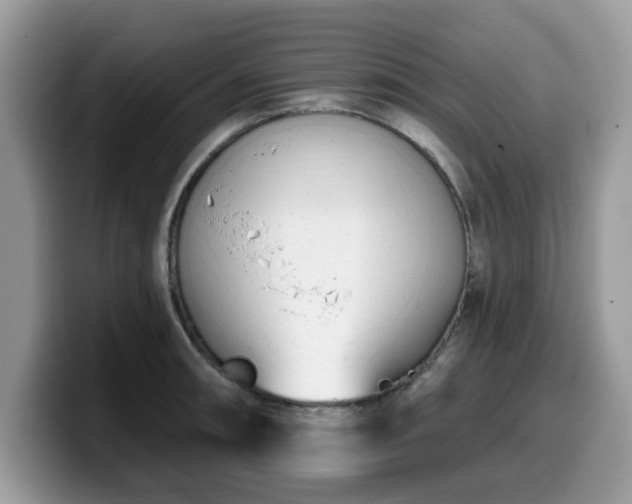 X0000099961090200805301309