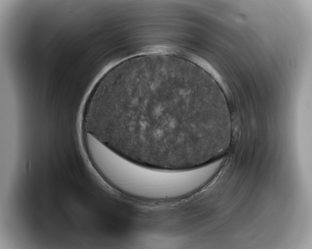 X0000099961091200805301309