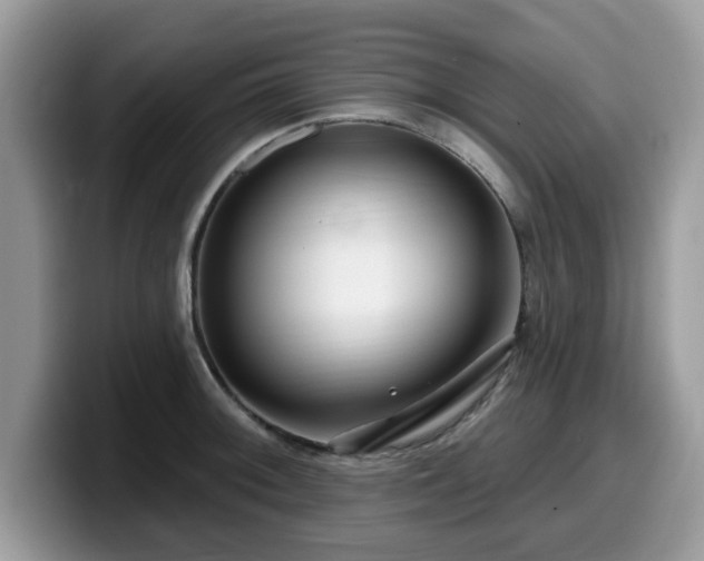 X0000099961092200805301309