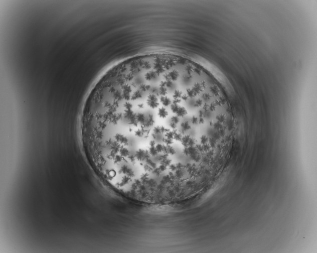 X0000099961094200805301309
