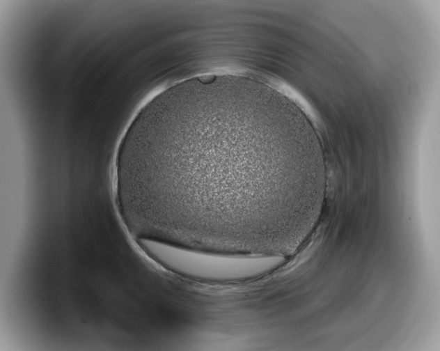 X0000099961095200805301309