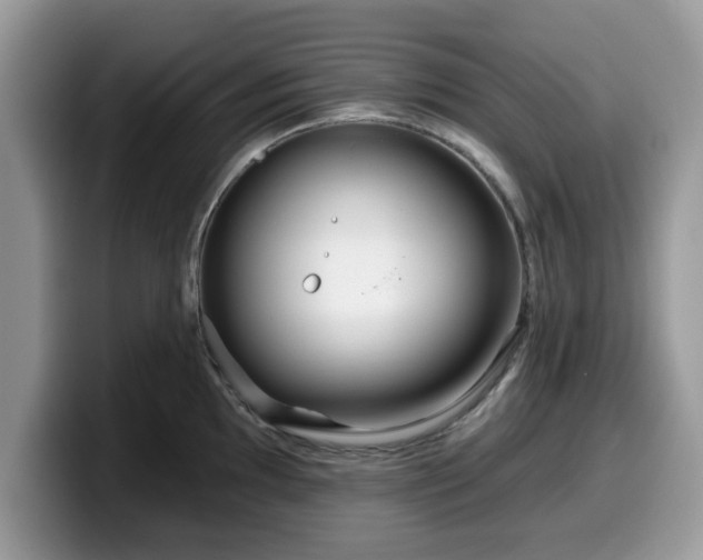 X0000099961097200805301309