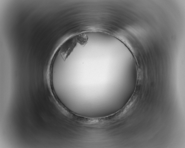 X0000099961098200805301309