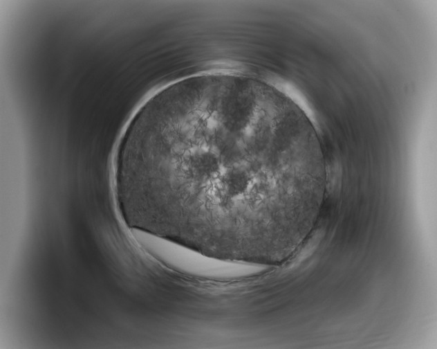 X0000099961099200805301309