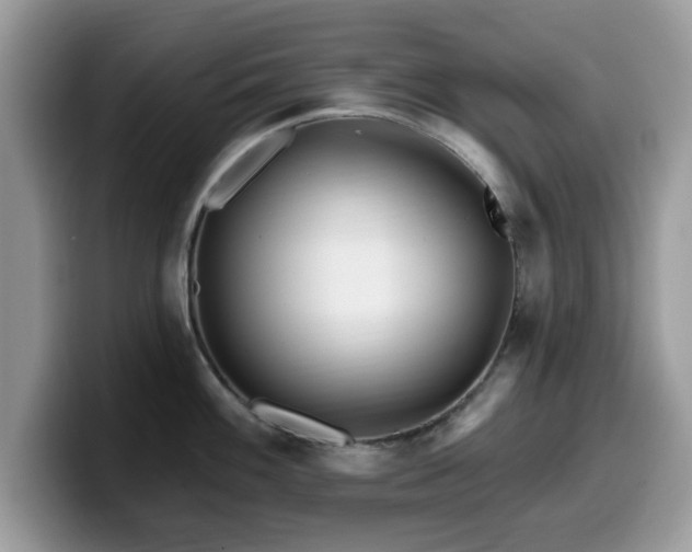 X0000099961100200805301309