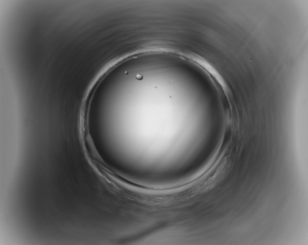 X0000099961101200805301309