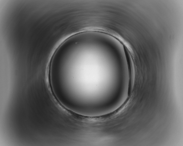 X0000099961102200805301309