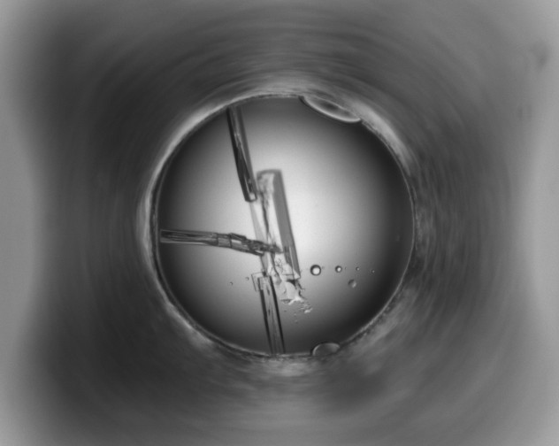 X0000099961103200805301309