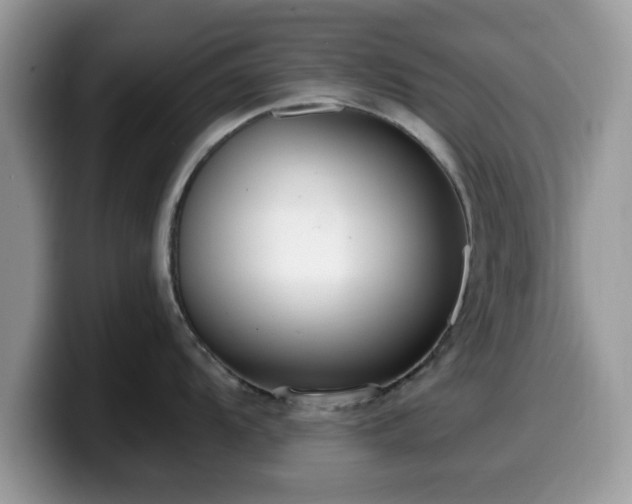 X0000099961104200805301309