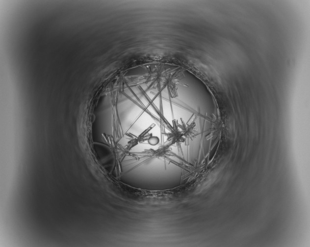 X0000099961105200805301308