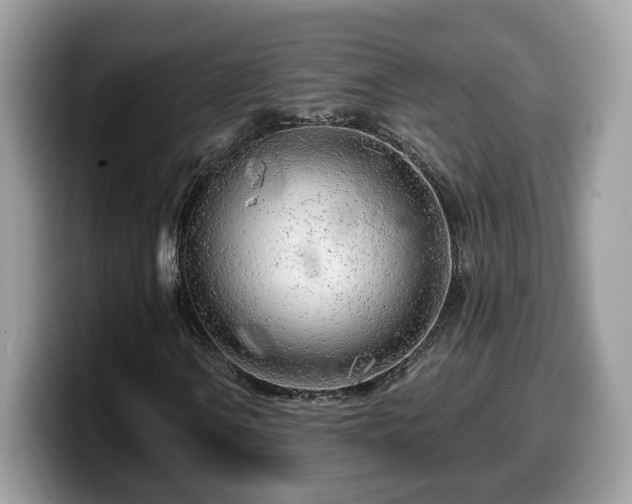 X0000099961106200805301308