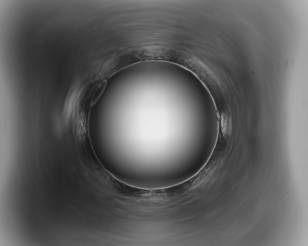 X0000099961107200805301308