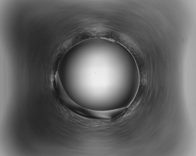 X0000099961108200805301308
