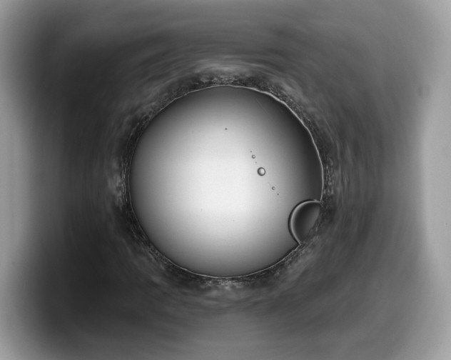 X0000099961109200805301308
