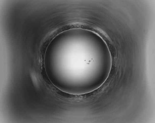 X0000099961111200805301308