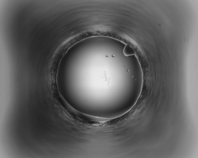 X0000099961112200805301308