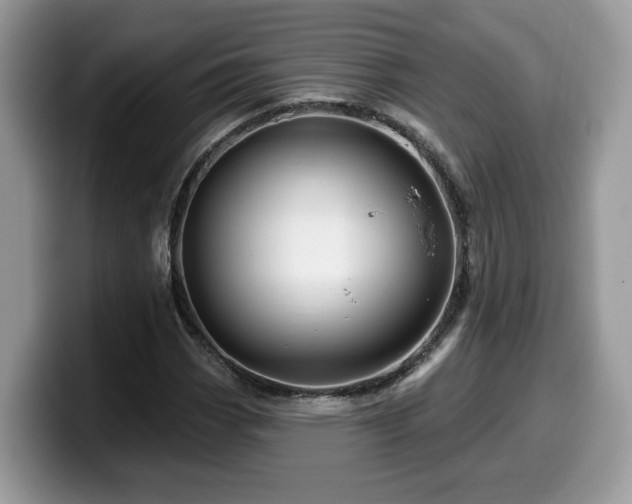 X0000099961113200805301308