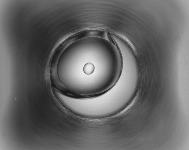 X0000099961114200805301308