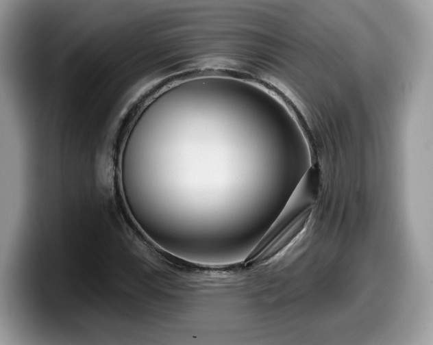 X0000099961115200805301308