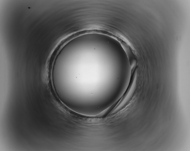 X0000099961116200805301308