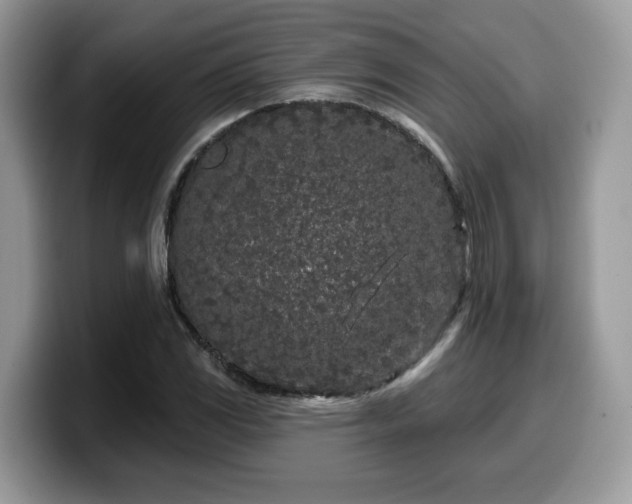 X0000099961117200805301308