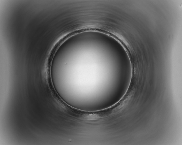X0000099961119200805301308