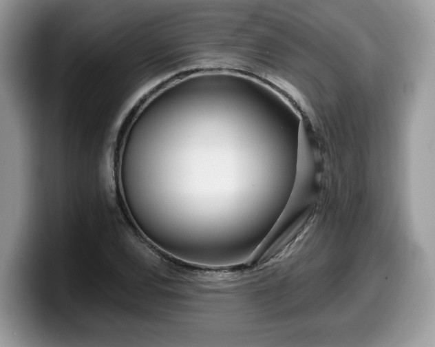 X0000099961120200805301308
