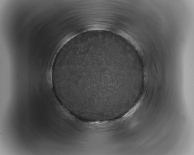 X0000099961121200805301308