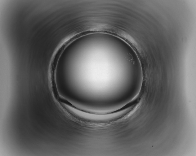 X0000099961122200805301308