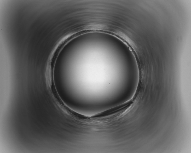 X0000099961123200805301308